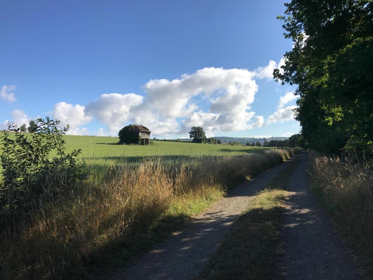 La Paix, Gite Bucolique En Normandie Condé-sur-Noireau Eksteriør bilde